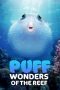 Nonton Film Puff: Wonders of the Reef (2021) Sub Indo