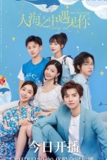 Nonton Drama China Meeting You Loving You (2021) Sub Indo