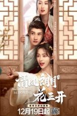 Nonton Drama China The Flowers Are Blooming (2021) Sub Indo