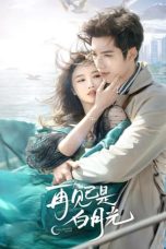 Nonton Drama China Fall in Love Again (2024) Sub Indo