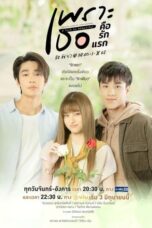 Nonton Drama Thailand A Love So Beautiful (2024) Sub Indo