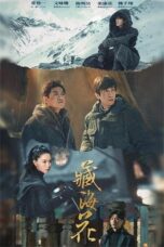 Nonton Drama China Tibetan Sea Flower (2024) Sub Indo